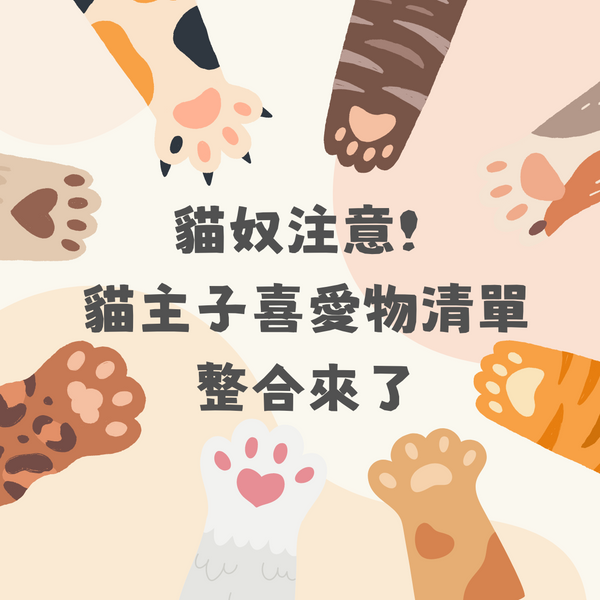 貓奴注意!貓主子喜愛物清單整合來了
