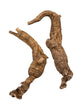 American Wild Ginseng XL (Each Tael)