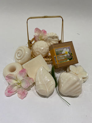 Edenworld Camellia Handmade Soap(Shell E)