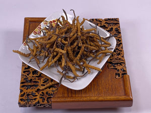 Cordyceps(Queen)(1 tael)