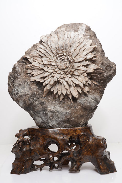 Chrysanthemun Stone(With Wooden Stand)